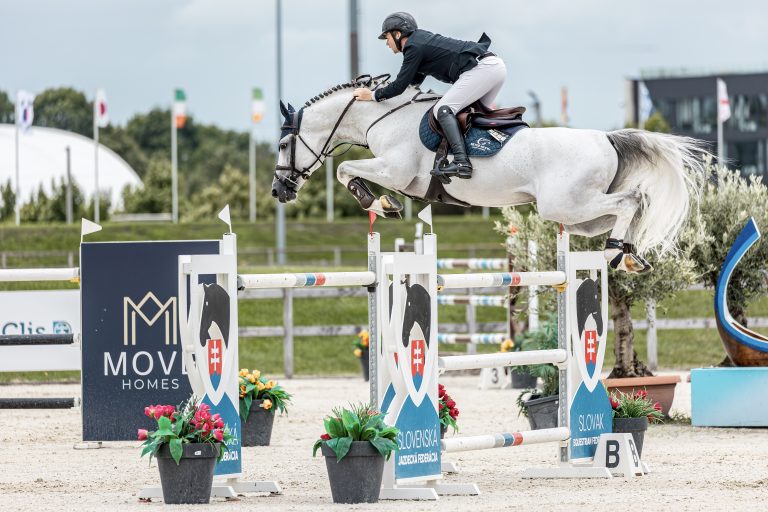 4 nouveaux étalons au catalogue Semilly 2026 !