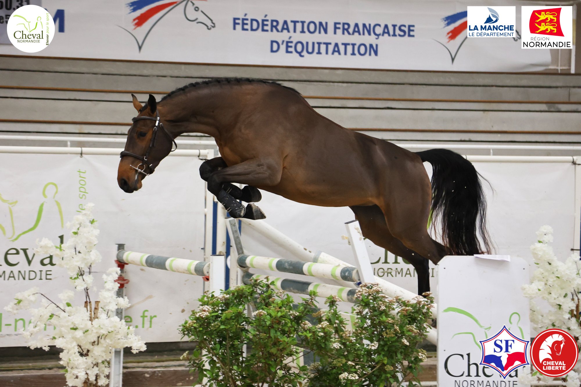 MYSTIC RIVER SEMILLY