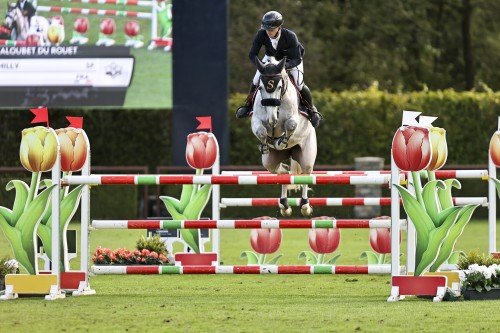 Image de cheval