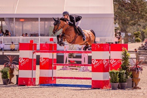 Image de cheval